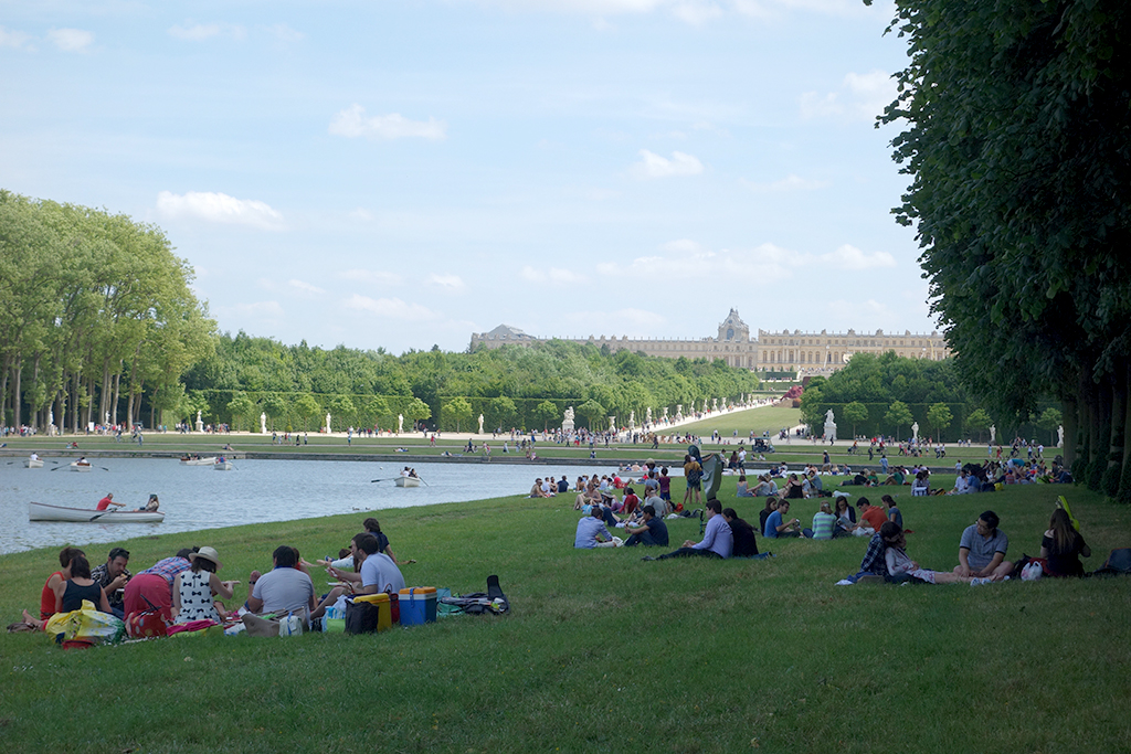 Groups of people sitting along the green lawn next to the grand canal with their picnis