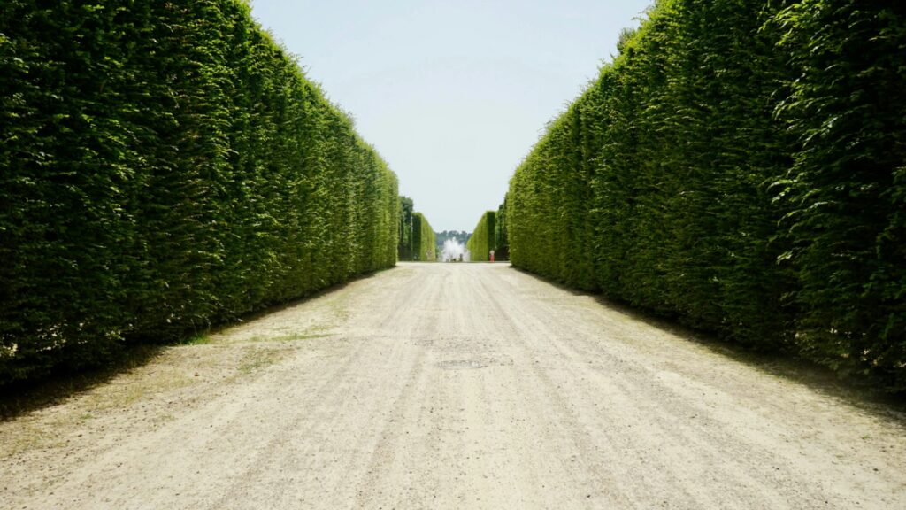 One of the long alleys of the Versailles Gardens