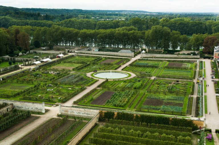 Ariel view of the "potager du roi" in Versailles. The King's Kitchen Garden.