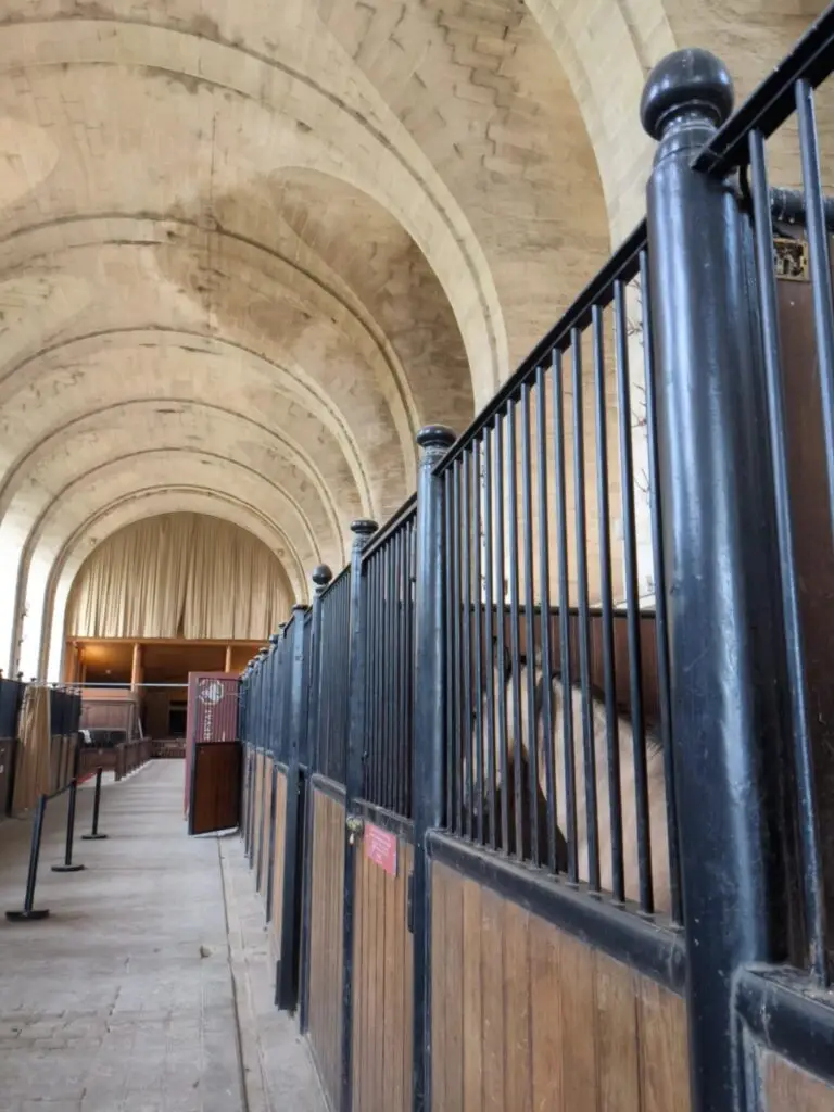 Inside the historic stables at the Château de Chantilly, showcasing a row of elegant horse stalls with black iron bars and wooden panels beneath soaring stone archways. A horse rests quietly in one of the stalls, partially visible through the bars, while the soft light highlights the grandeur of the vaulted ceiling.