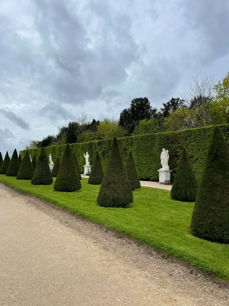 Row of conical topiary trees and white marble statues lining a pathway in the formal gardens of the Palace of Versailles.
