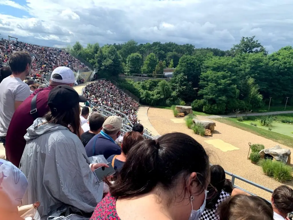 Families gather in a large outdoor amphitheater at ZooParc de Beauval, eagerly awaiting the start of a bird show. With educational animal performances and a lively atmosphere, it’s an ideal family weekend activity near Versailles that both kids and adults enjoy.