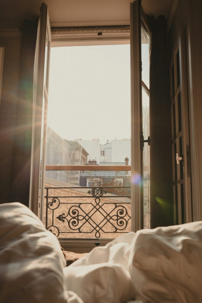 Parisian view out of window.