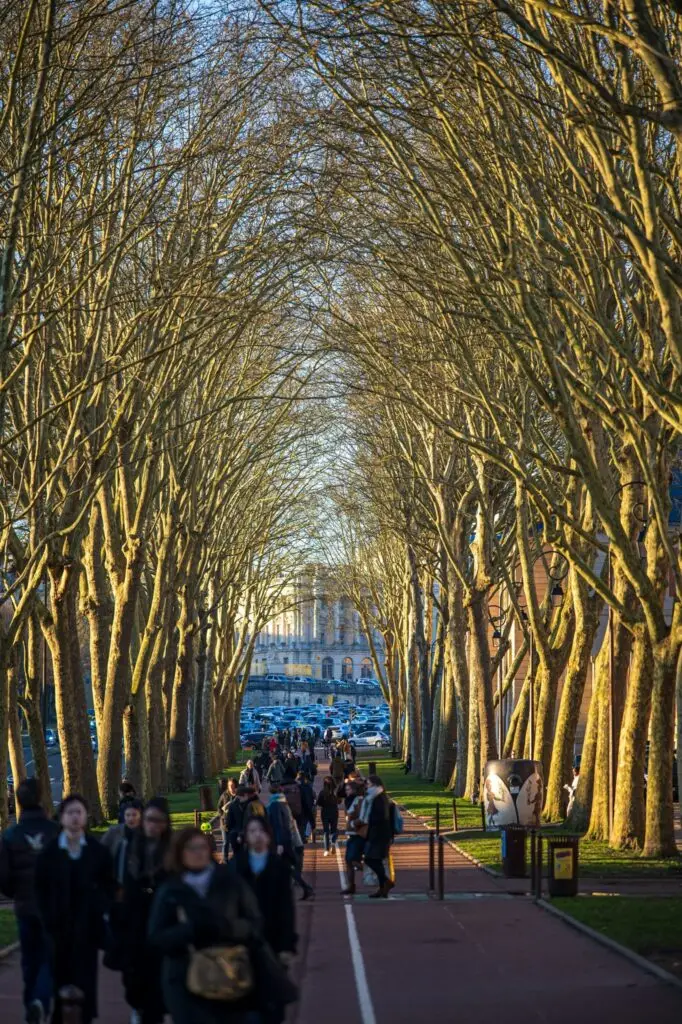 Pedestrians walking under a canopy of winter trees in Versailles, with the Palace of Versailles and a full parking lot visible in the background—highlighting popular parking Versailles near Place d'Armes.